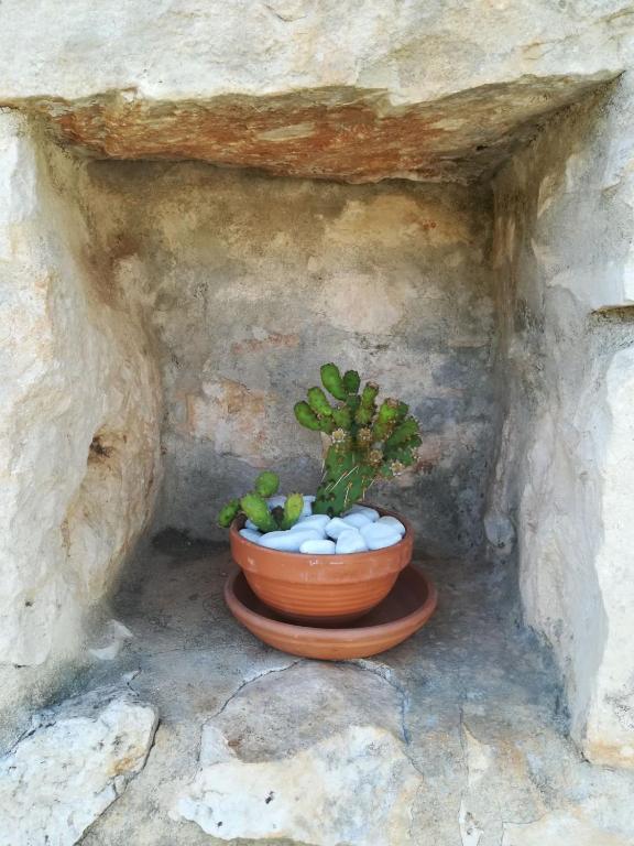Fotografie z fotogalerie ubytování Villa Degli Ulivi v destinaci Ceglie Messapica