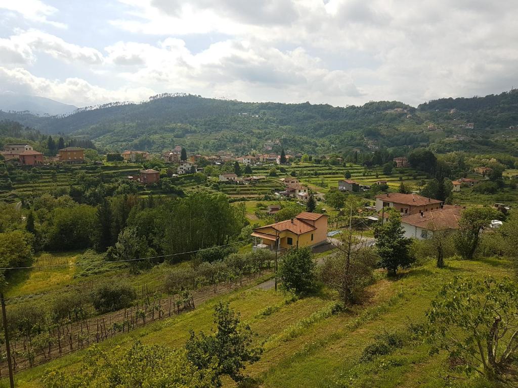 Příroda nedaleko apartmánu