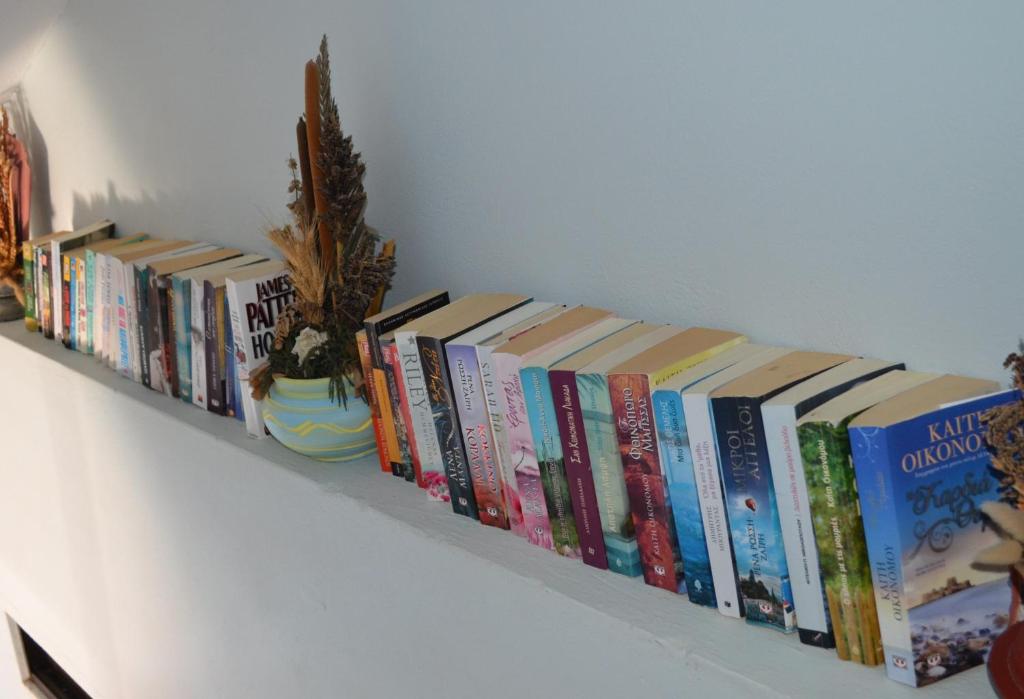 The library in Az apartmant