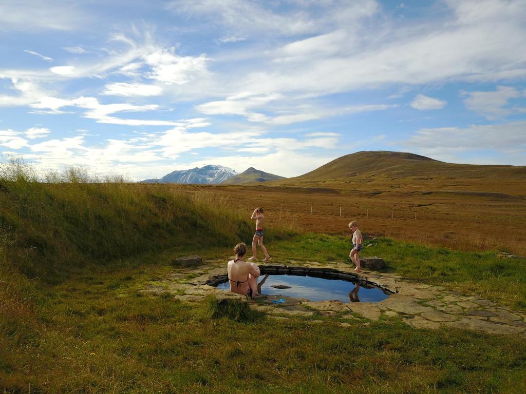tres personas de pie en un pequeño charco de agua en un campo en Laugarfell Accommodation & Hot Springs, en Laugarfell