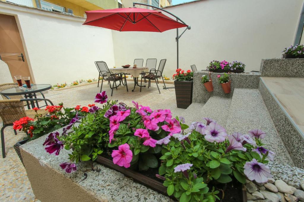 Zahrada ubytování Villa Prestige