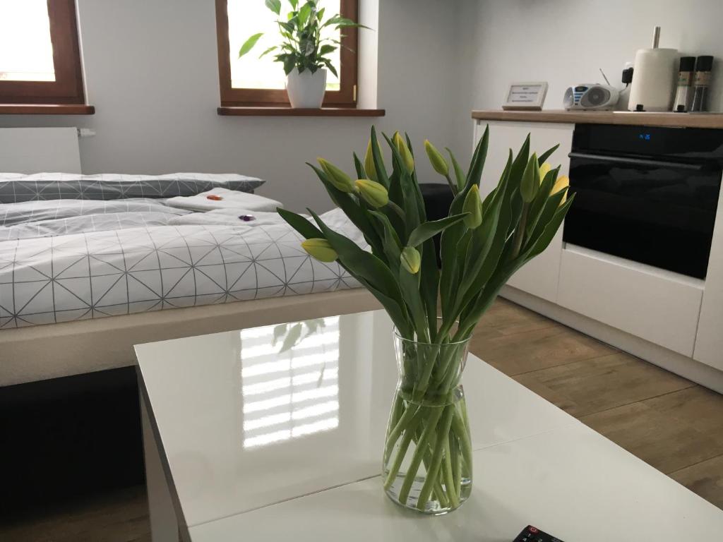 Apartamenty AP 1 - 6