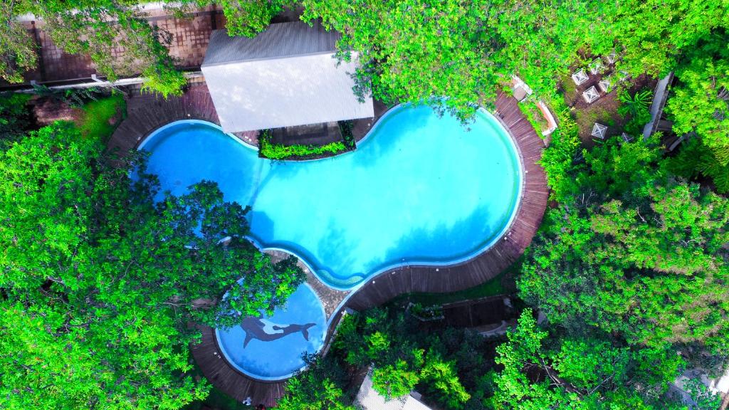 Bazén v ubytování Grand Udawalawe Safari Resort nebo v jeho okolí