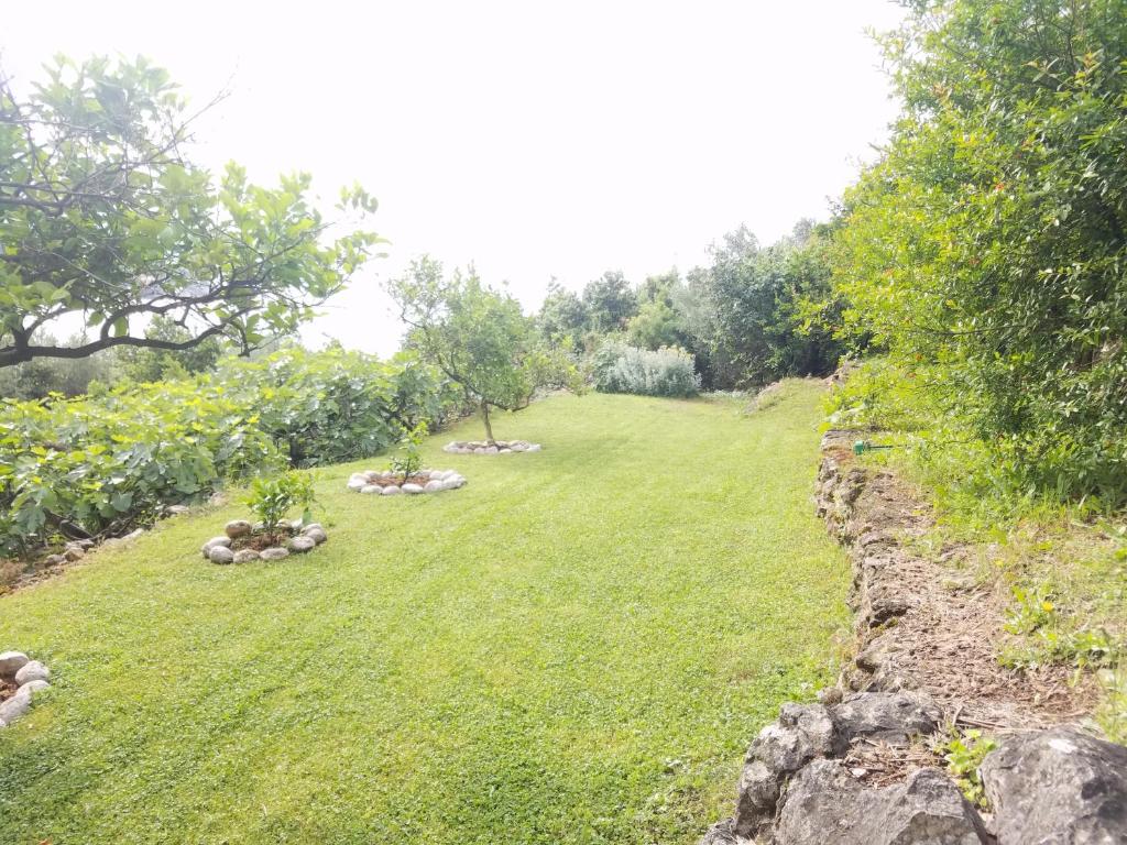 Vonkajšia záhrada v ubytovaní Marivo Guest House