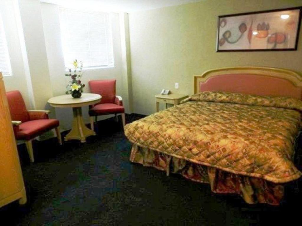 Cama o camas de una habitación en Hotel San Francisco Irapuato Business Class
