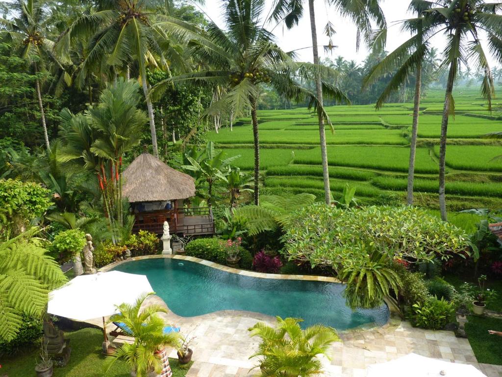 Villa Orchid Bali