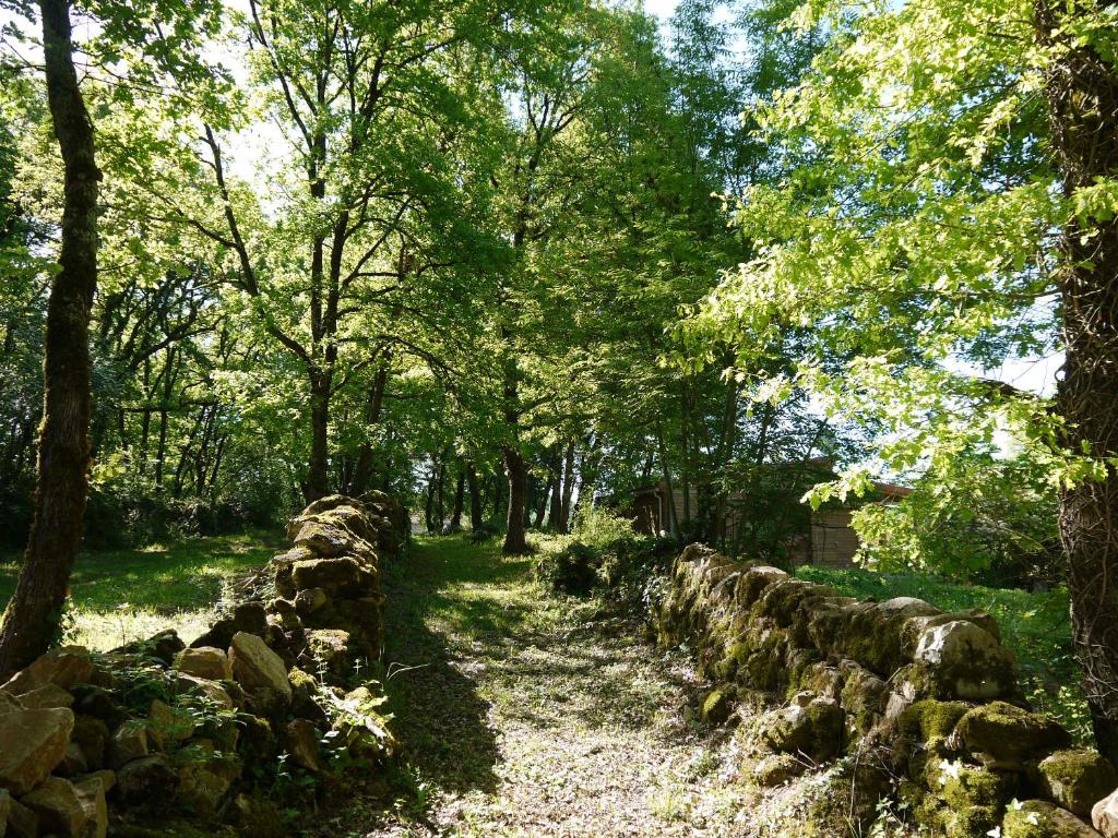 Paesaggio naturale nelle vicinanze del lodge