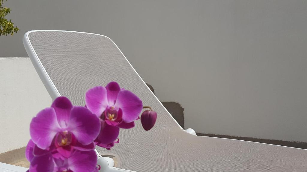 Fotografie z fotogalerie ubytování Torres Suite v destinaci Polignano a Mare