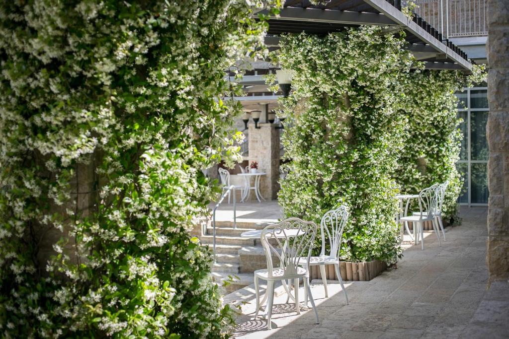 Zahrada ubytování Hotel Yehuda