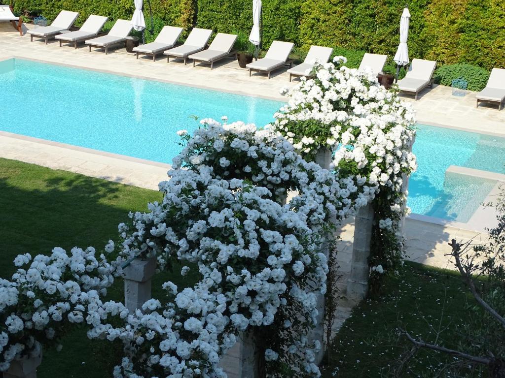 Výhled na bazén z ubytování Palazzo Ducale Venturi - Luxury Hotel & Wellness nebo okolí