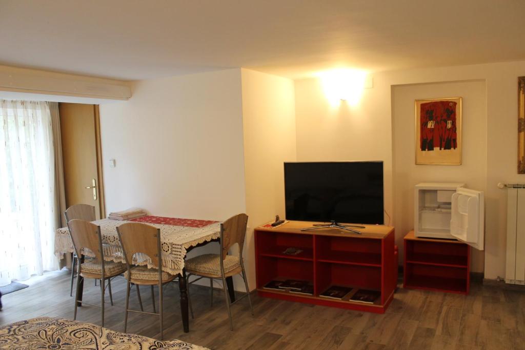 TV a/nebo společenská místnost v ubytování Rooms Jurca