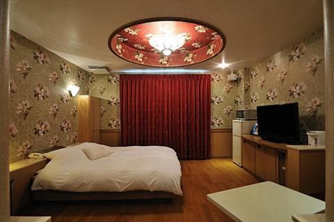 a bedroom with a bed and a television in it at Aube - 大人専用 in Konzōji