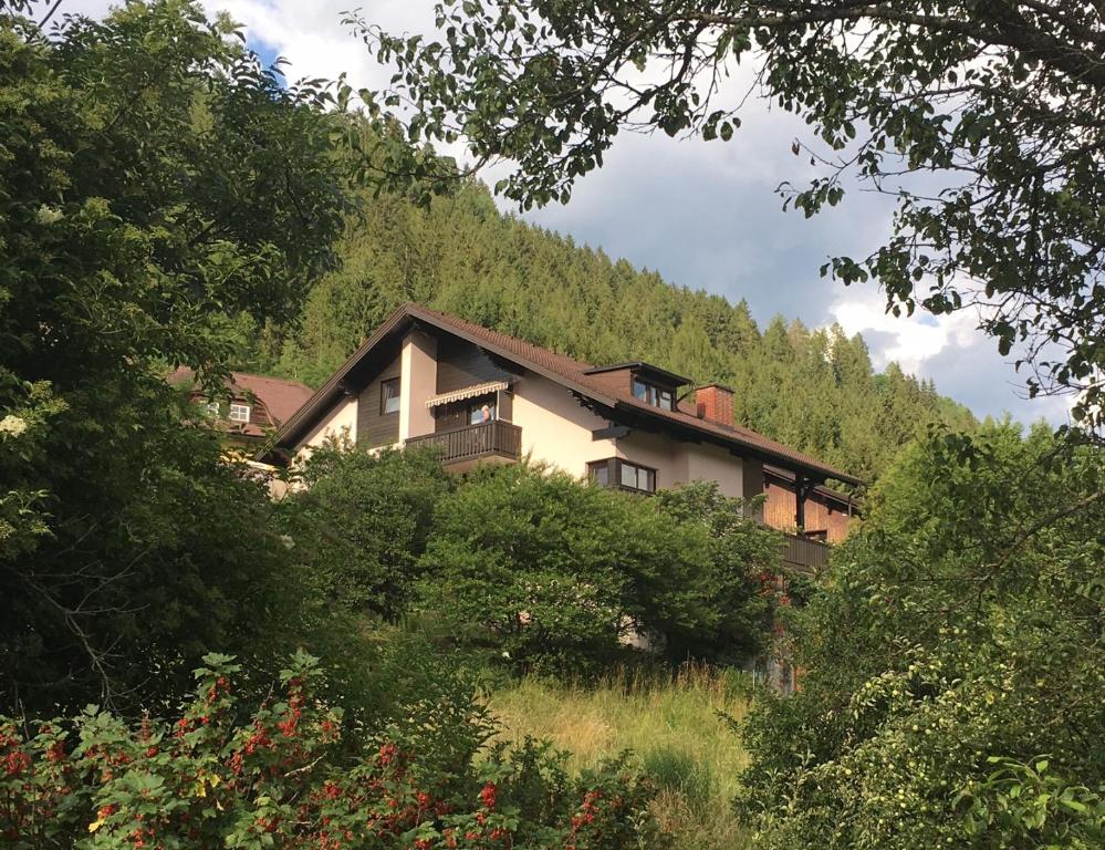 a house on the side of a hill with trees at Haus Agnes, Murau in Murau