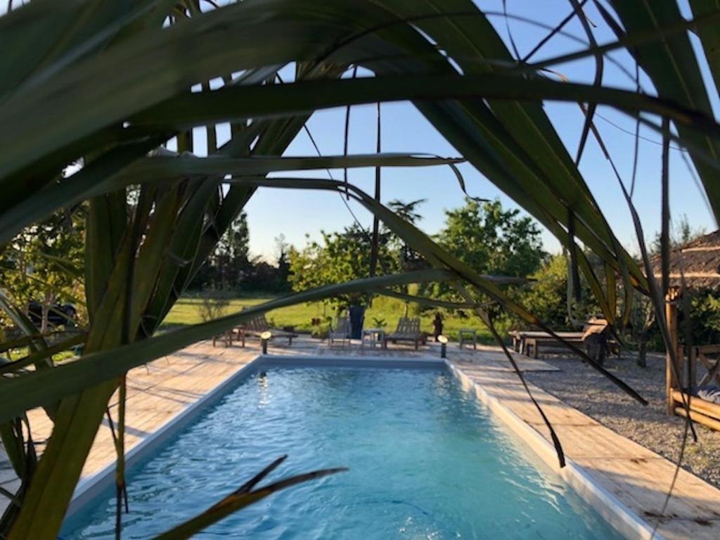 a pool with a palm tree in the foreground at Mas à Cheval-Blanc en Provence in Cheval-Blanc