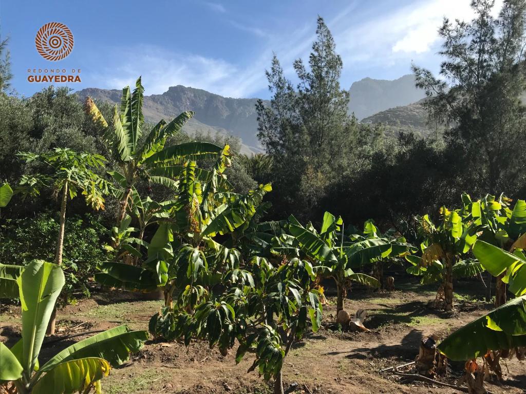 Un paisaje natural cerca of the country house