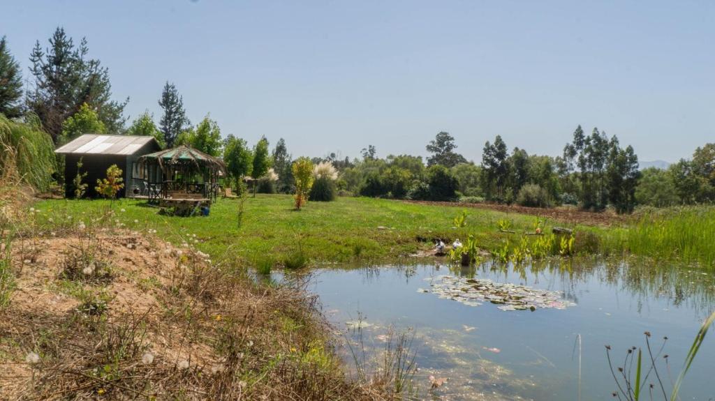 una pequeña cabaña en un campo junto a un estanque en Cabañas Turisticas de la Yayita, en Río Claro