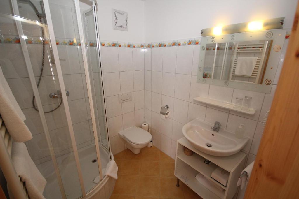 a bathroom with a shower and a toilet and a sink at Gasthof Waldwirt in Russbach am Pass Gschütt
