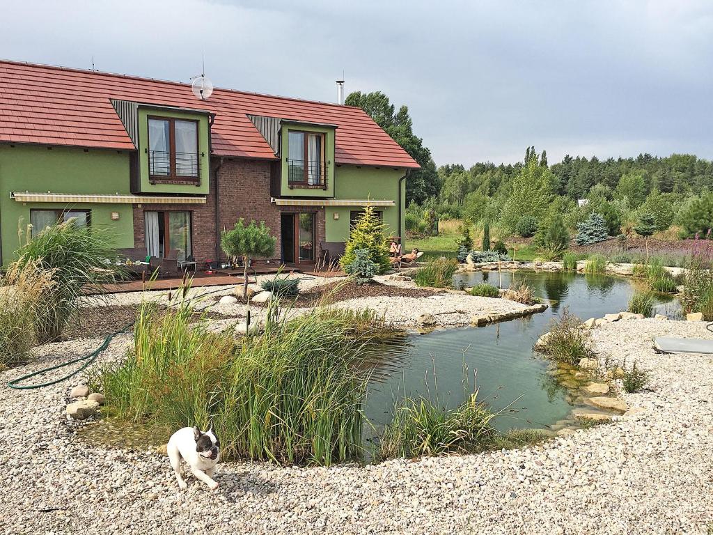 un gato sentado frente a una casa al lado de un río en Lake View Apartments near Golf Resort Kunětická Hora, Dříteč, en Pardubice