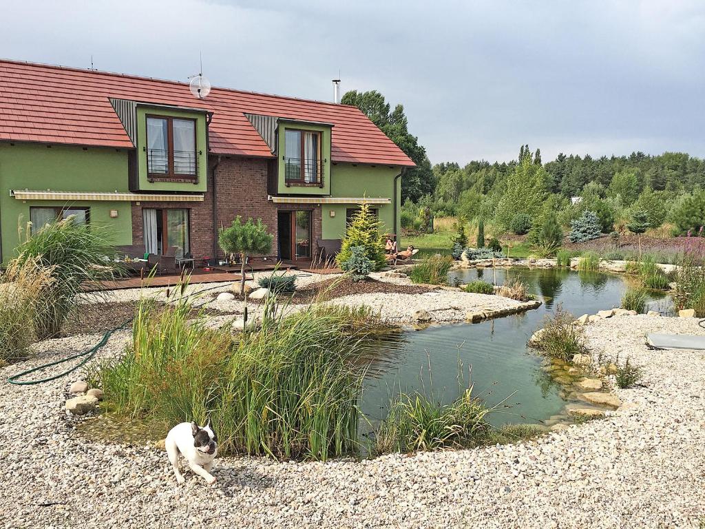 a cat sitting in front of a house next to a river at Lake View Apartments near Golf Resort Kunětická Hora, Dříteč in Pardubice