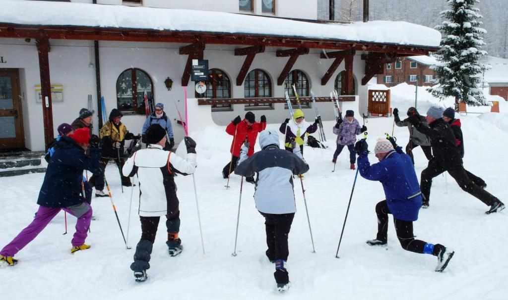Hosté ubytování Hotel Walser