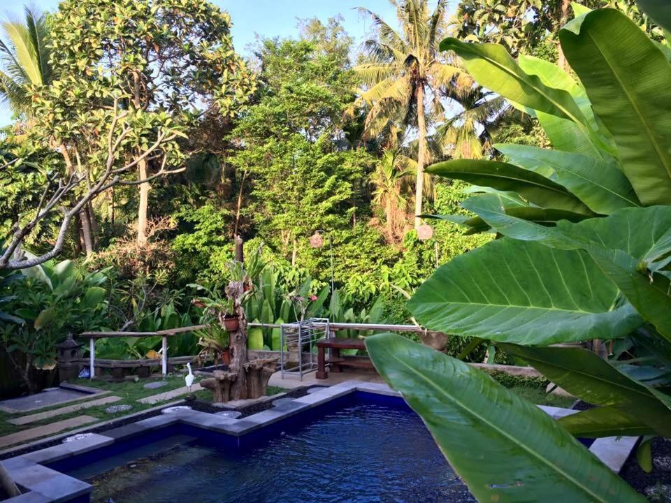 Kerta Family Bed and Breakfast - 7