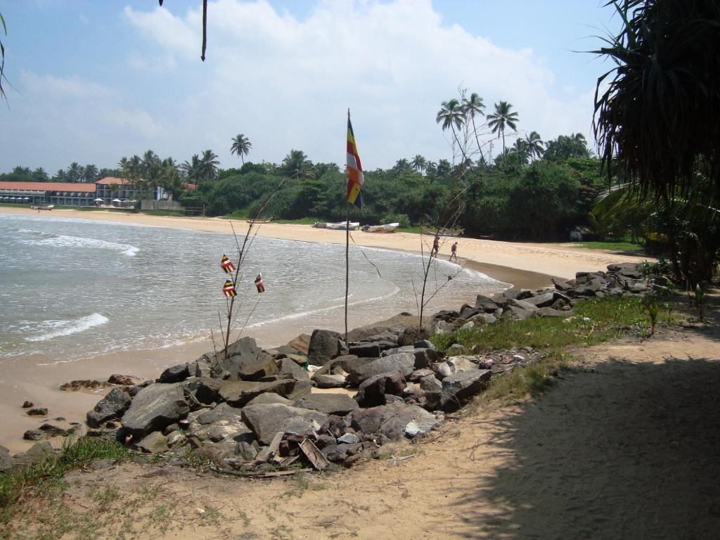 Река Бентота Шри Ланка. Алутгама Шри-Ланка. Река Бентота Шри Ланка отзывы. Шри ланка река