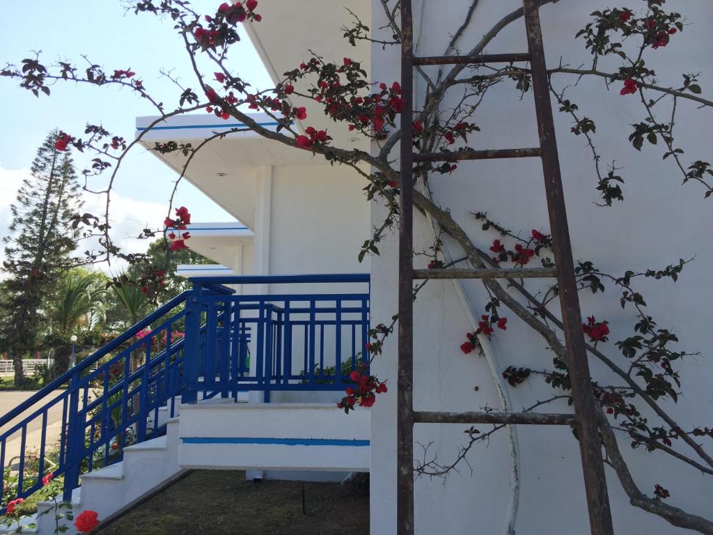 Balkón nebo terasa v ubytování Kipriotis Hotel