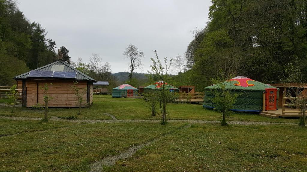 Gallery image of Glan Mydyr Woodland Yurts in Ciliau-Aeron