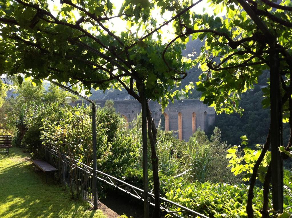 Zahrada ubytování Hotel Gattapone