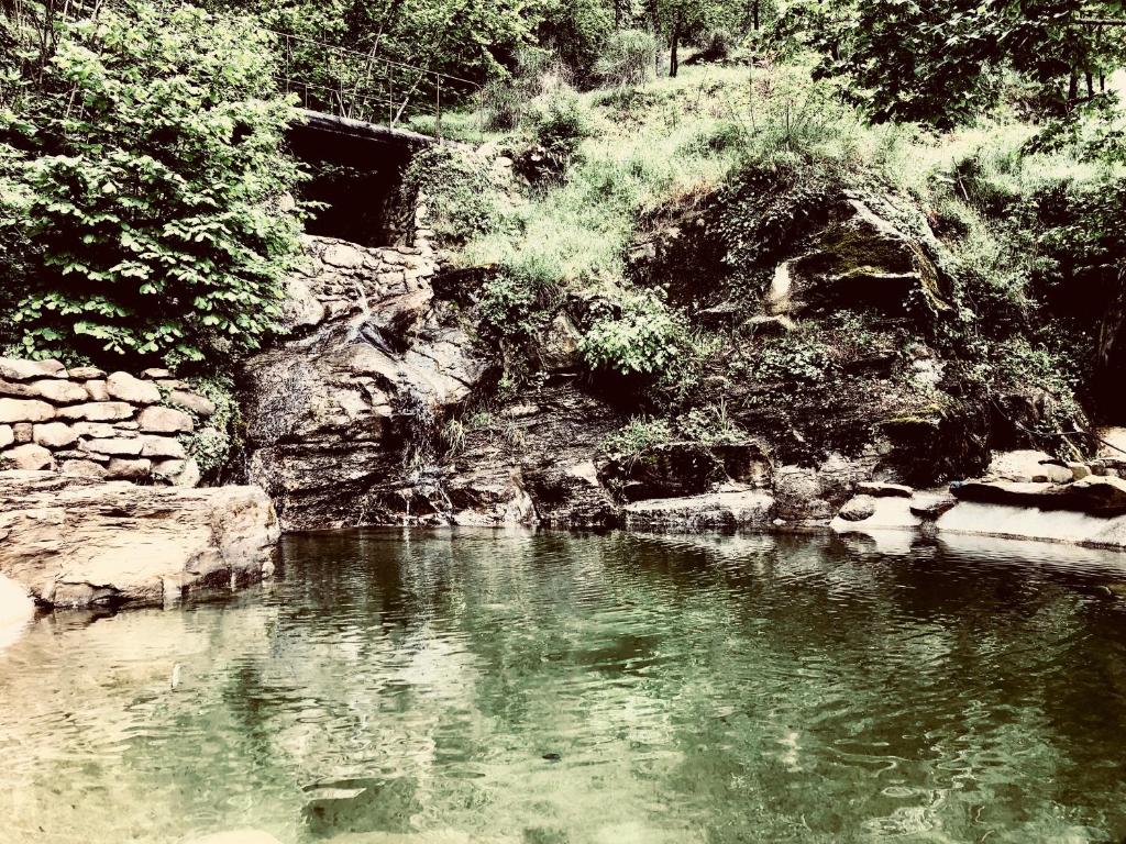 una piscina de agua en un río con árboles en PIPPO'S LITTLE RESORT/2, en Poppi