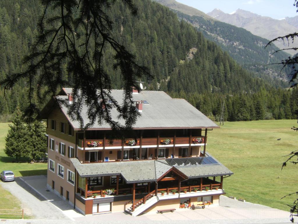 Příroda nedaleko hotelu