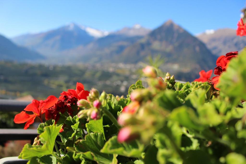 Nespecifikovaný výhled na hory nebo výhled na hory při pohledu z bed and breakfast