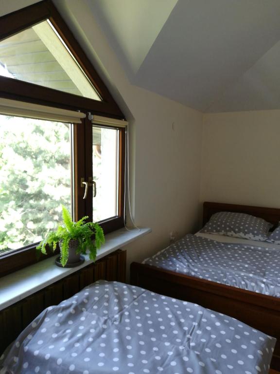 Pokoje Gościnne Lawenda - 18