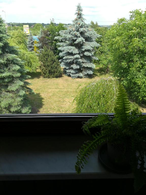 Pokoje Gościnne Lawenda - 14