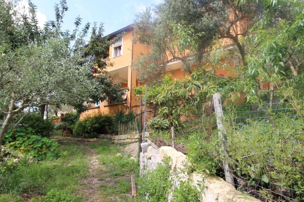 A garden outside rita