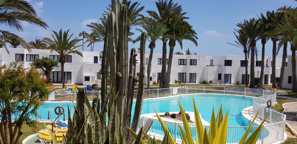 Bazén v ubytovaní Apartamento junto a la playa. Corralejo alebo v jeho blízkosti