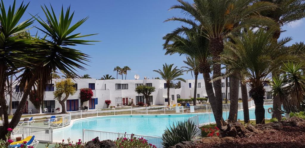 a swimming pool with palm trees in front of a hotel at Apartamento junto a la playa. Corralejo in Corralejo