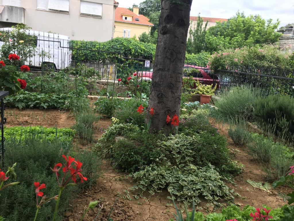 Vonkajšia záhrada v ubytovaní Apartments Ursic