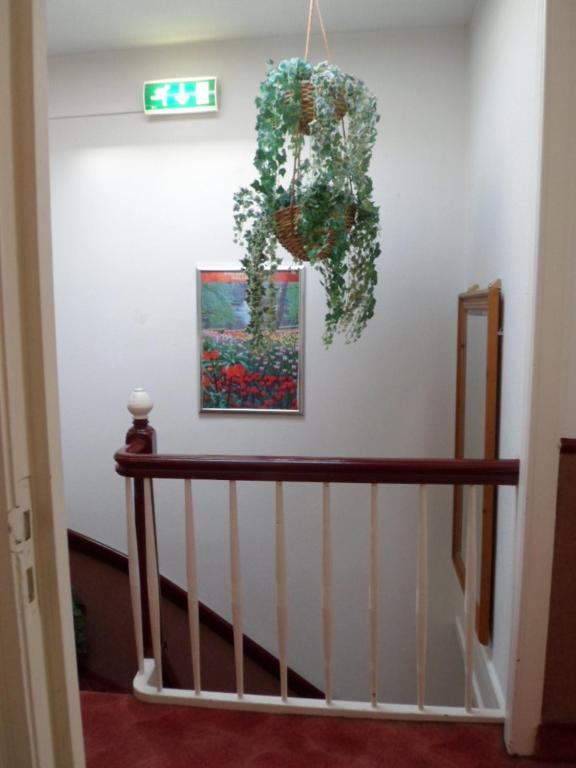 Fotografie z fotogalerie ubytování Staten Hotel v Haagu