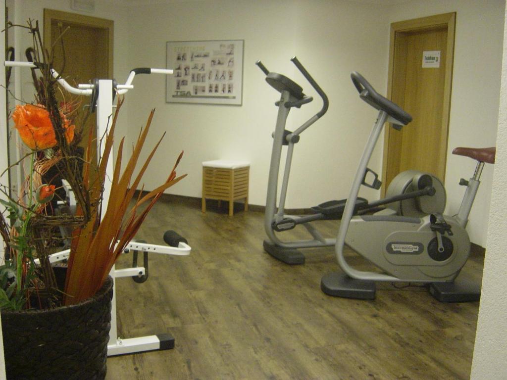 Fitness centrum a/nebo fitness zařízení v ubytování Hotel Berghof