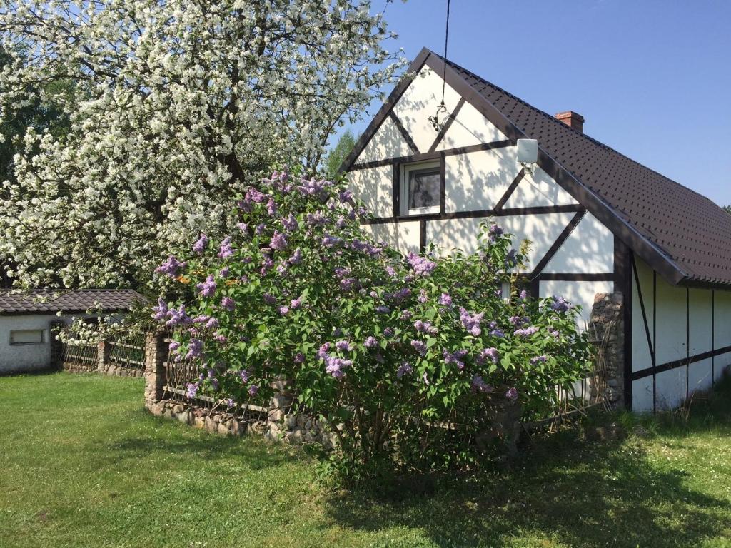 ein Haus mit einem Zaun und Blumen im Hof in der Unterkunft Samodzielny Dom Przy Lesie in Tereszewo