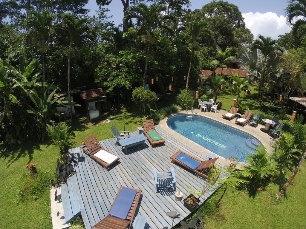 una vista aérea de una piscina con tumbonas y sillas en Chalet Y Cabinas Hibiscus en Cahuita