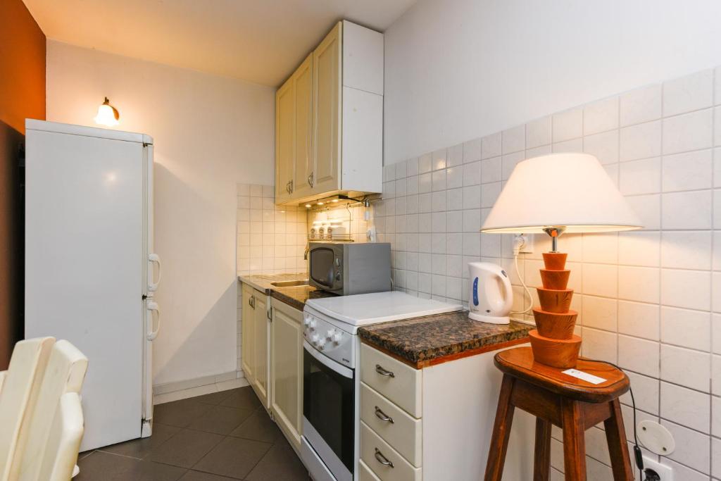Kuchyňa alebo kuchynka v ubytovaní Accomodation Gina