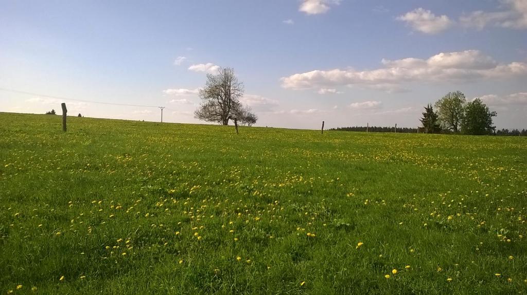 Příroda nedaleko apartmánu