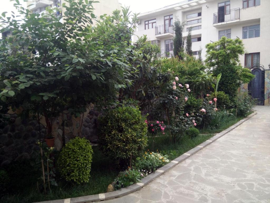Zahrada ubytování Hotel Mimino