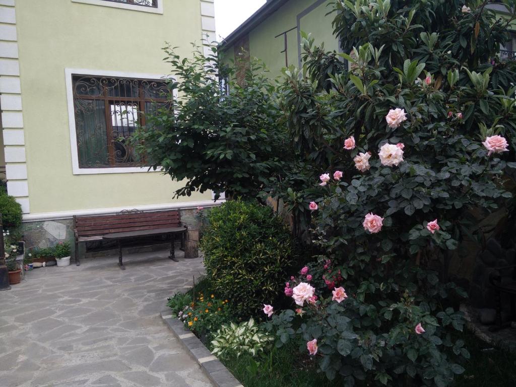 Zahrada ubytování Hotel Mimino
