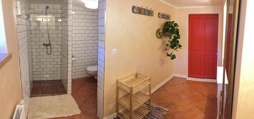 łazienka z prysznicem i czerwonymi drzwiami w obiekcie Villa Cihelna apartments w Czeskim Krumlovie