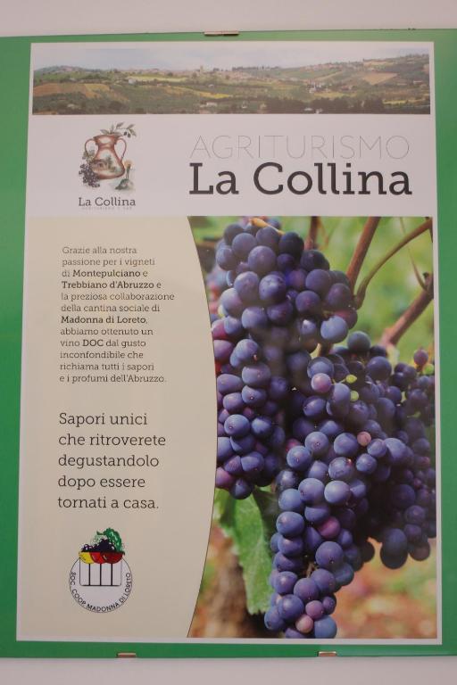 Certifikát, hodnocení, plakát nebo jiný dokument vystavený v ubytování B&B La Collina