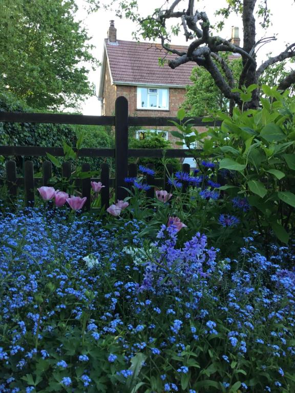 um jardim com flores azuis em frente a uma cerca em Church Farm, Legbourne Louth em Legbourne