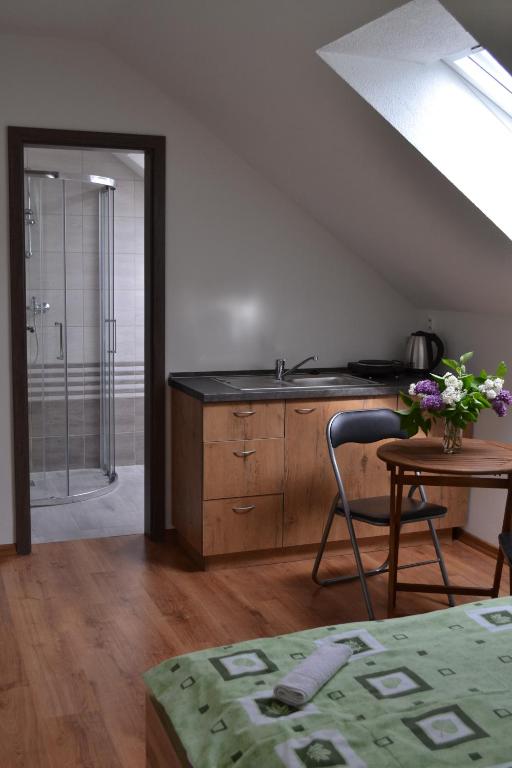 uma cozinha com um lavatório e um chuveiro num quarto em Apartments ADANA em Spišské Bystré